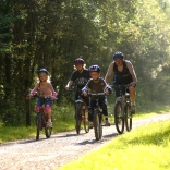Family with two young children cycling along a forest trail.