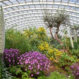 Colourful flowers and plants under a glass dome roof.